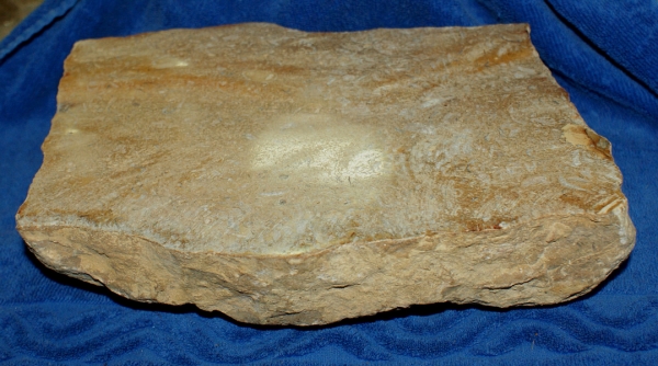 Fossilienjaspis Rohstein