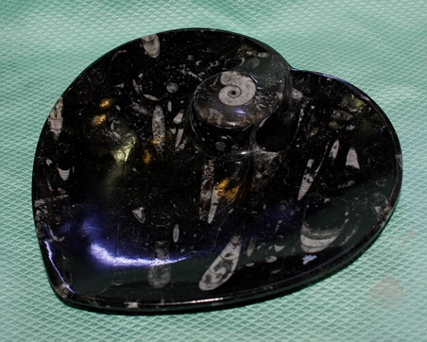 Orthoceras-Ammoniten-Teller Herzform