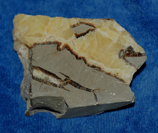 Septarien poliert mit Standfläche