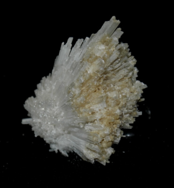 Skolezit