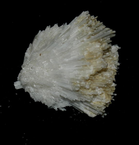 Skolezit