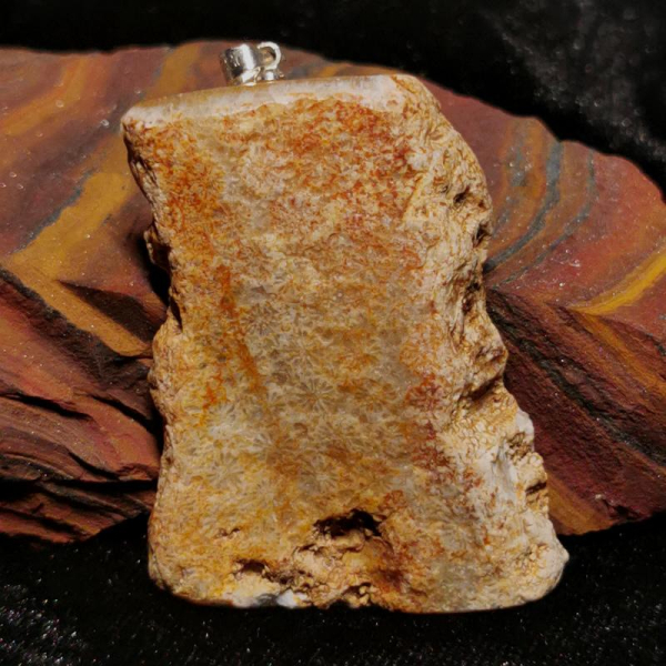 Versteinerte Koralle Anhänger