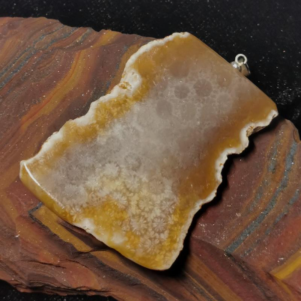 Versteinerte Koralle Anhänger