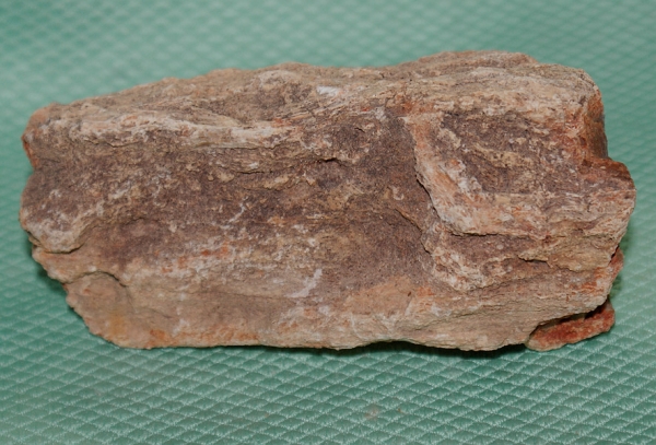 Versteinertes Holz Madagaskar