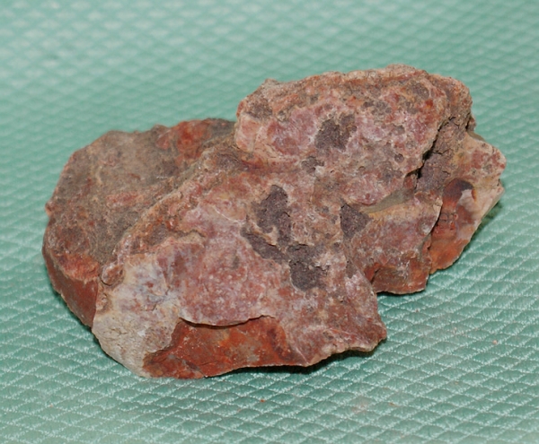 Versteinertes Holz Madagaskar