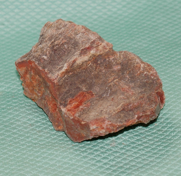 Versteinertes Holz Madagaskar
