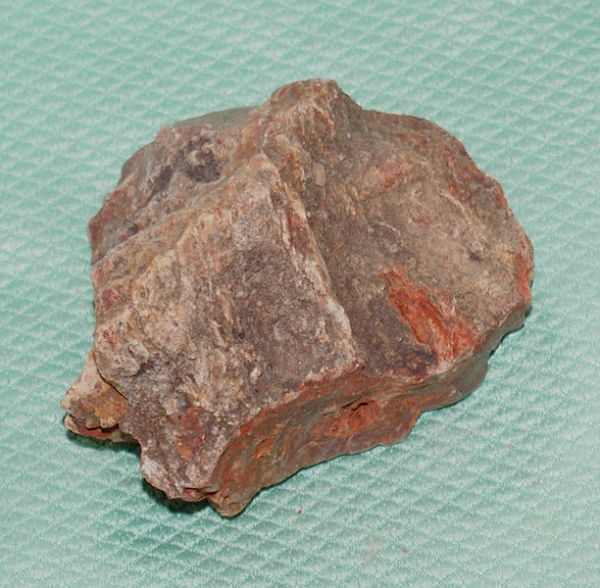 Versteinertes Holz Madagaskar