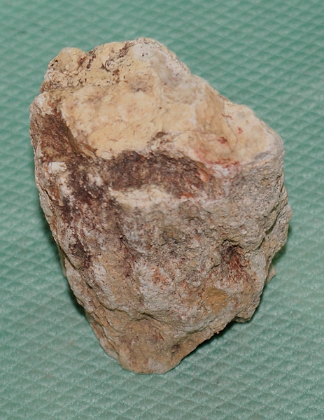 Versteinertes Holz Madagaskar