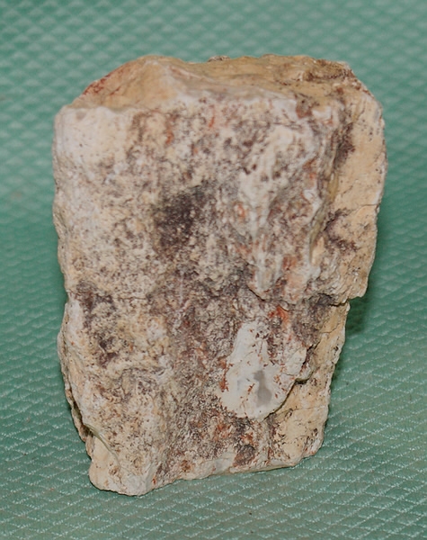 Versteinertes Holz Madagaskar
