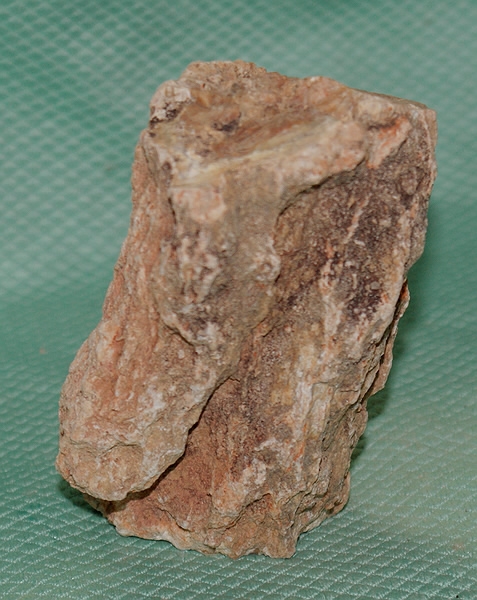 Versteinertes Holz Madagaskar