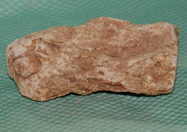 Versteinertes Holz Madagaskar