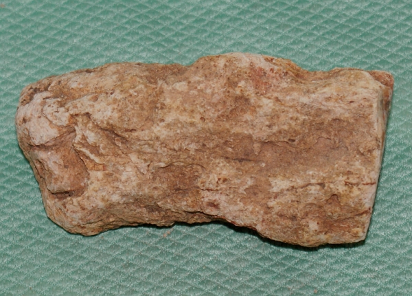 Versteinertes Holz Madagaskar