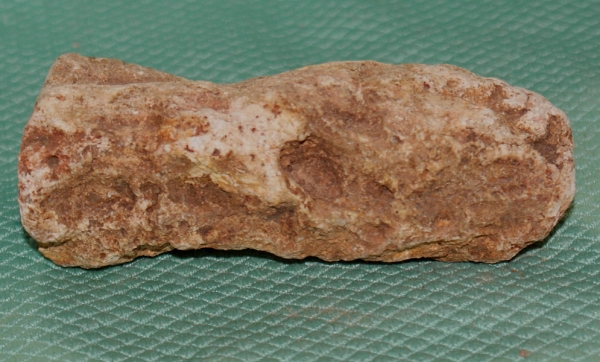 Versteinertes Holz Madagaskar