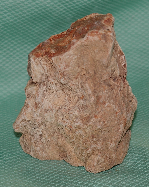 Versteinertes Holz Madagaskar