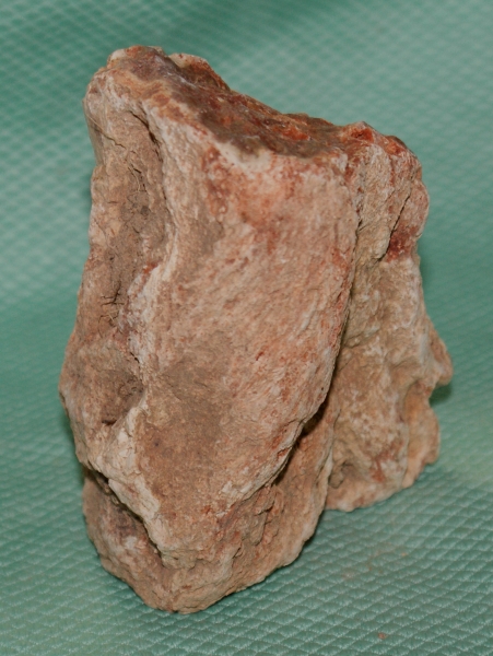 Versteinertes Holz Madagaskar