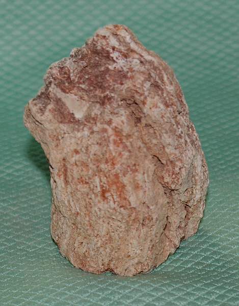 Versteinertes Holz Madagaskar