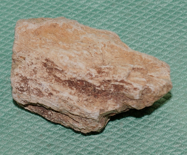 Versteinertes Holz Madagaskar
