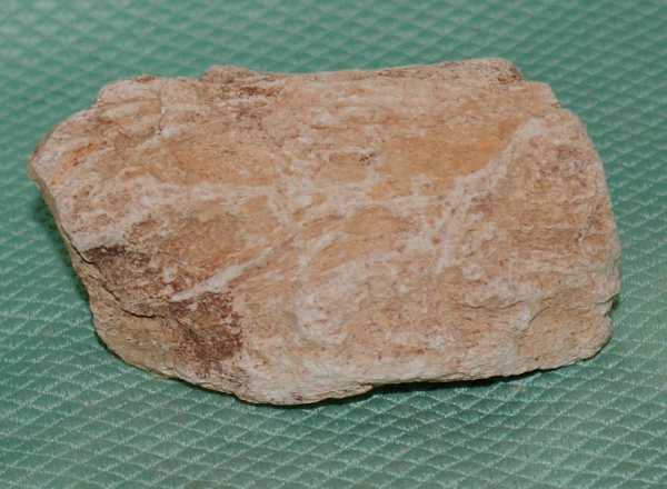 Versteinertes Holz Madagaskar