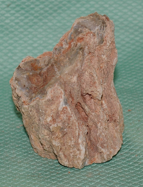 Versteinertes Holz Madagaskar