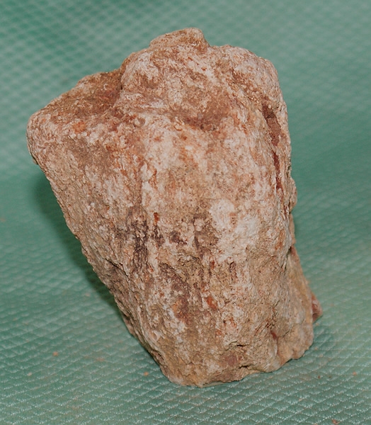 Versteinertes Holz Madagaskar
