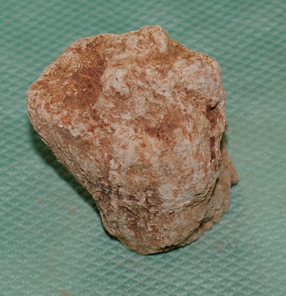 Versteinertes Holz Madagaskar