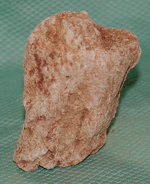 Versteinertes Holz Madagaskar
