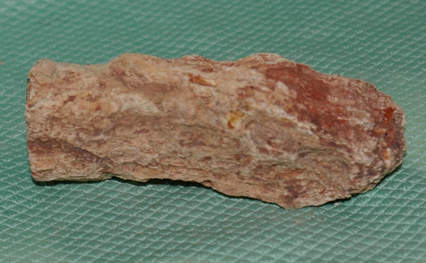 Versteinertes Holz Madagaskar