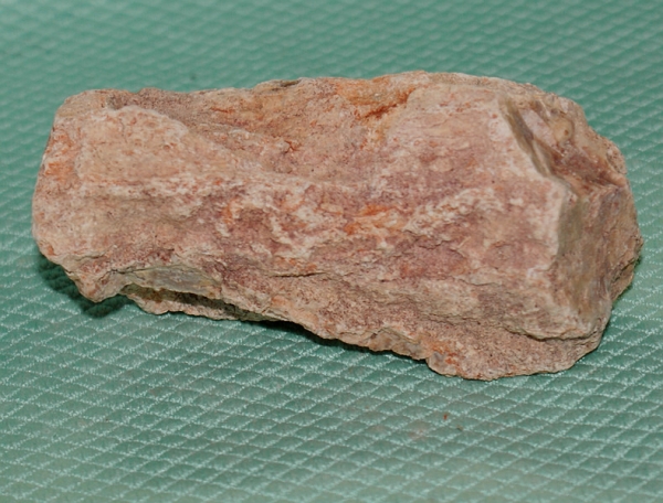 Versteinertes Holz Madagaskar