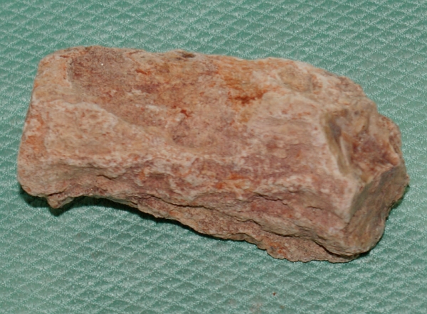 Versteinertes Holz Madagaskar