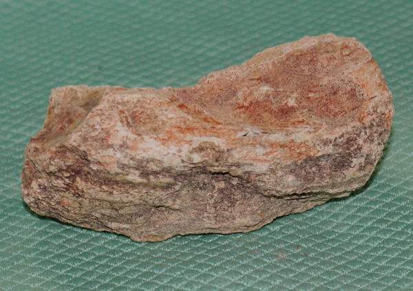Versteinertes Holz Madagaskar