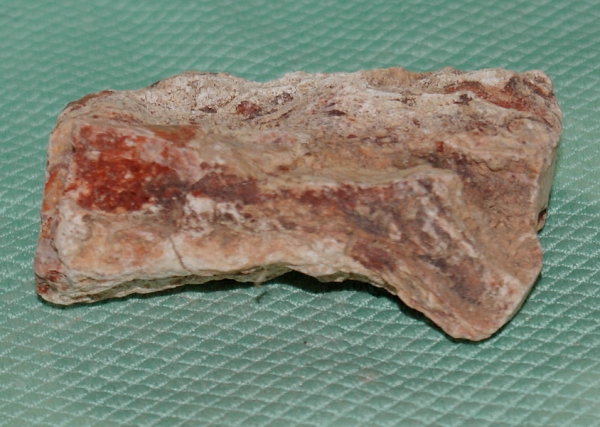 Versteinertes Holz Madagaskar