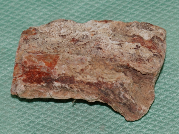 Versteinertes Holz Madagaskar