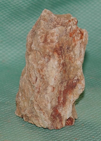 Versteinertes Holz Madagaskar