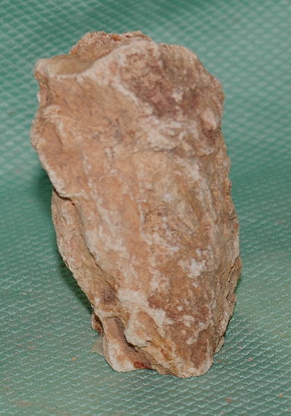 Versteinertes Holz Madagaskar