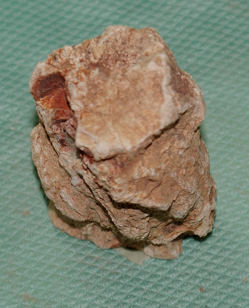 Versteinertes Holz Madagaskar