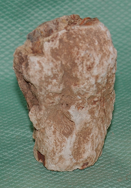 Versteinertes Holz Madagaskar