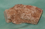 Versteinertes Holz Madagaskar