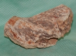 Versteinertes Holz Madagaskar