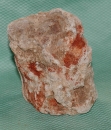 Versteinertes Holz Madagaskar