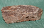 Versteinertes Holz Madagaskar