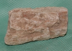 Versteinertes Holz Madagaskar