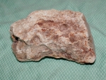 Versteinertes Holz Madagaskar
